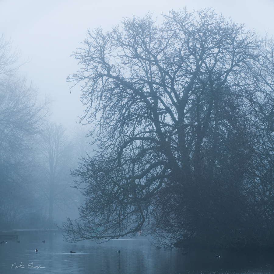 Tooting Bec Common Lake