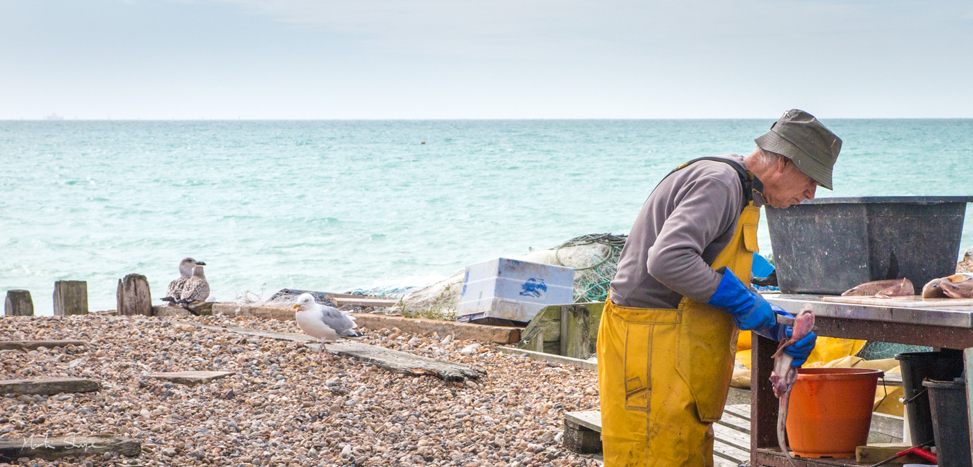 Fisherman gutting a fish