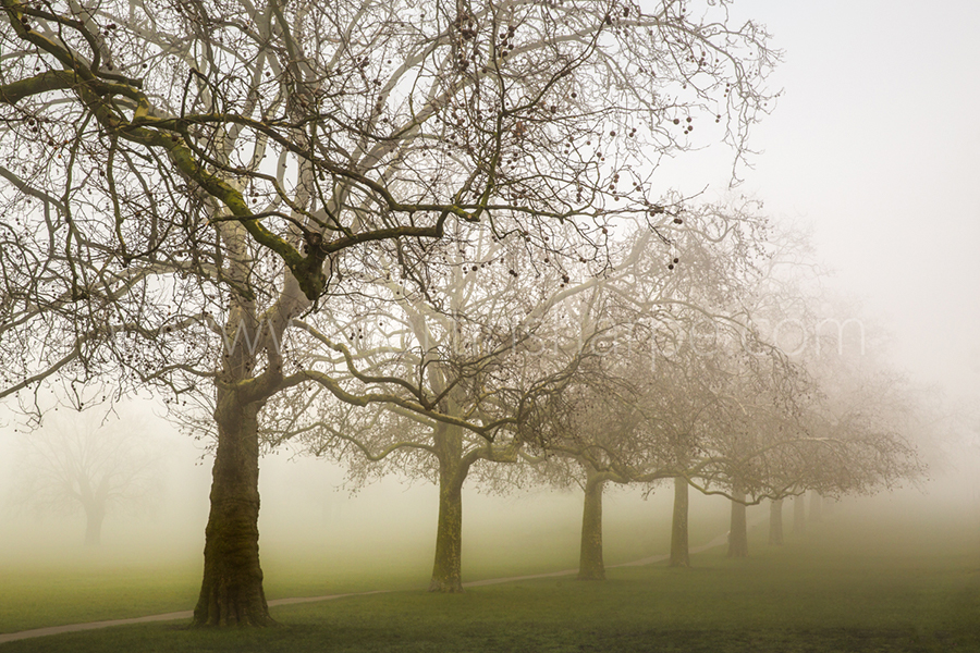 Streatham Common